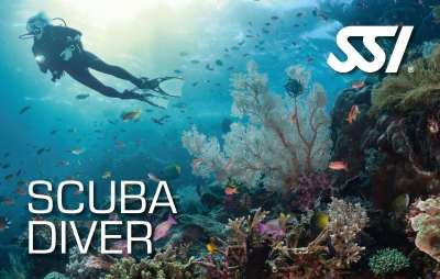 Immagine corso Scuba Diver SSI